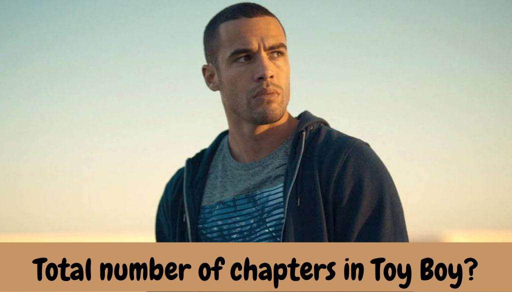 Total number of chapters in Toy Boy?