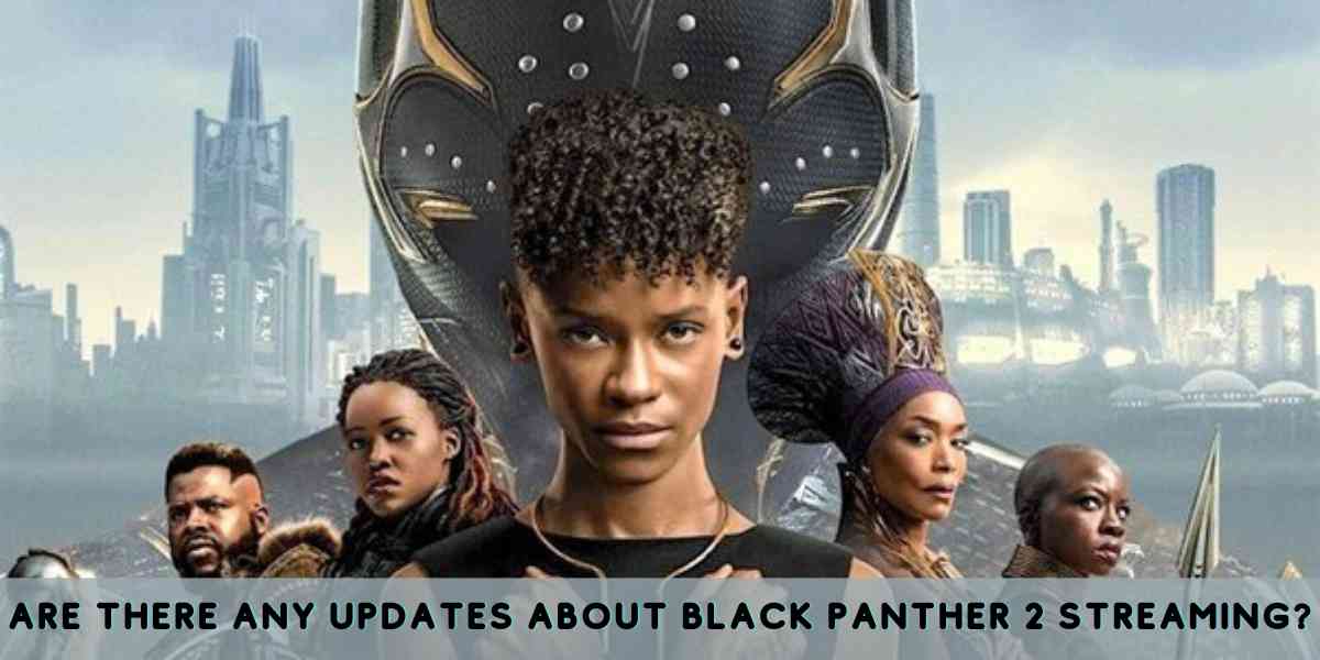 Are there Any Updates about Black Panther 2 Streaming?