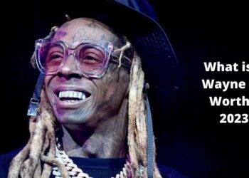 What is Lil Wayne Net Worth in 2023?